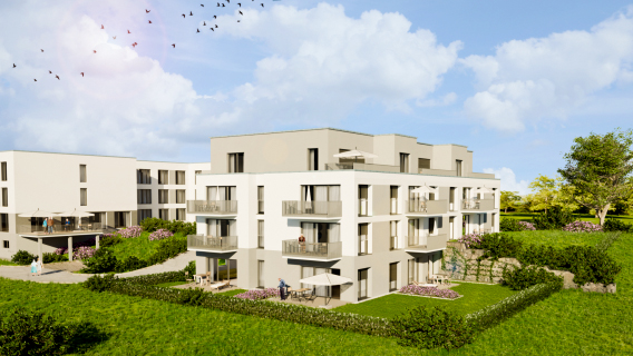 Pflege Alheim 01